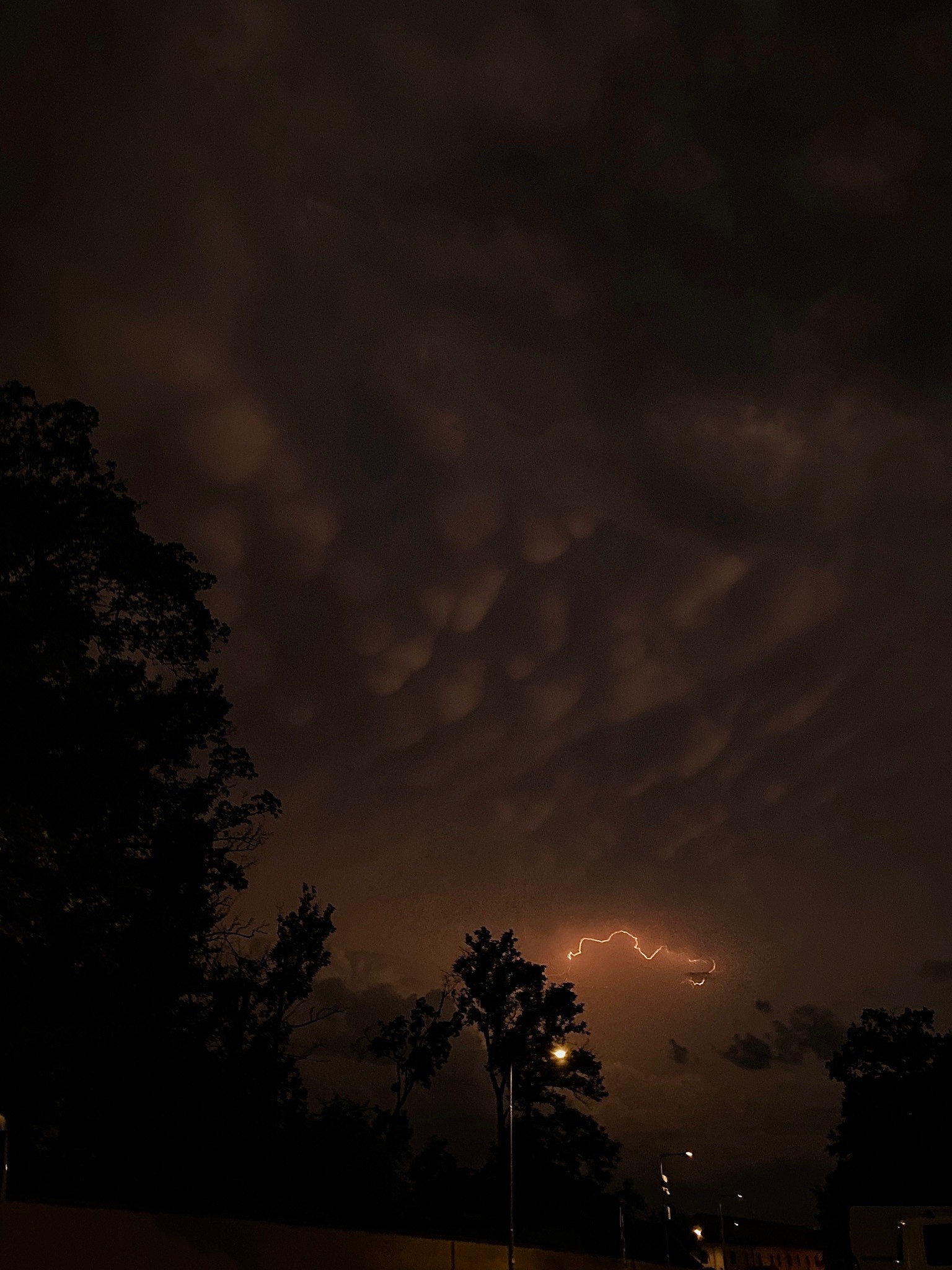 Hořovice mammatus