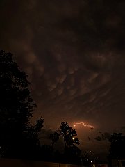 Hořovice mammatus