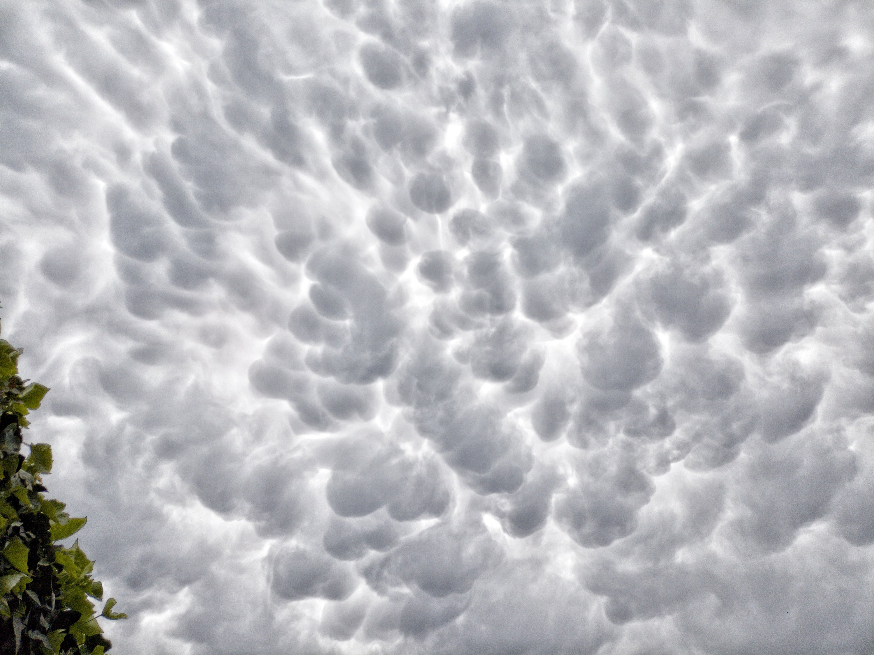 Oblaky mammatus