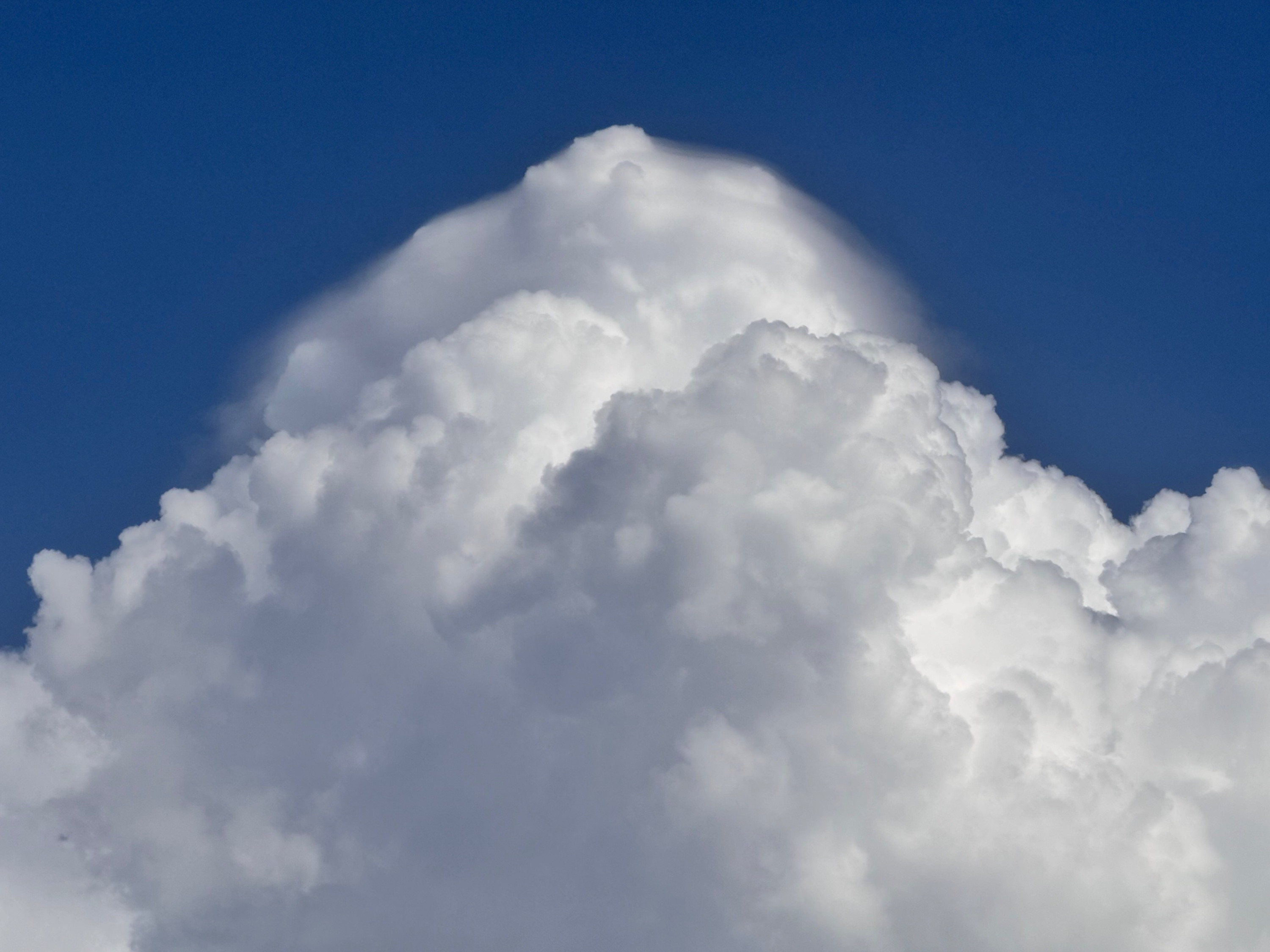 Pileus u Líní