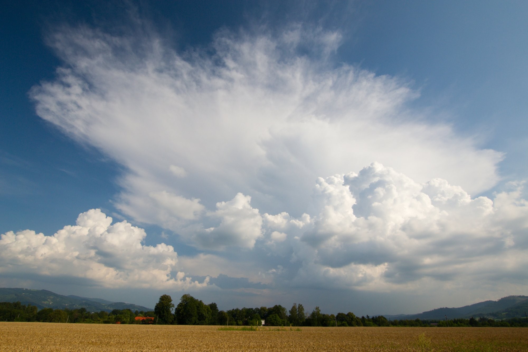 Cumulonimbus capillatus