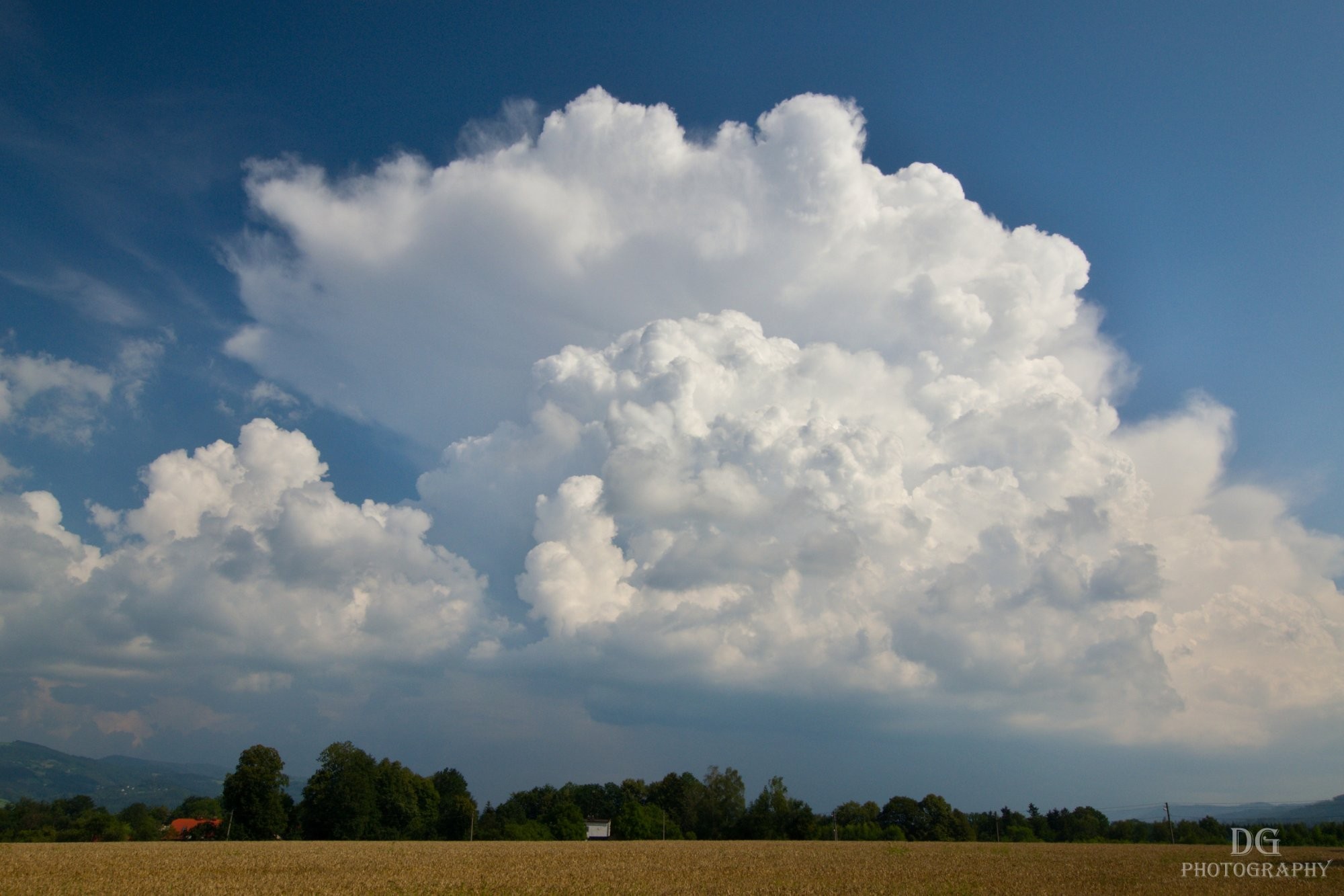 Cumulonimbus capillatus