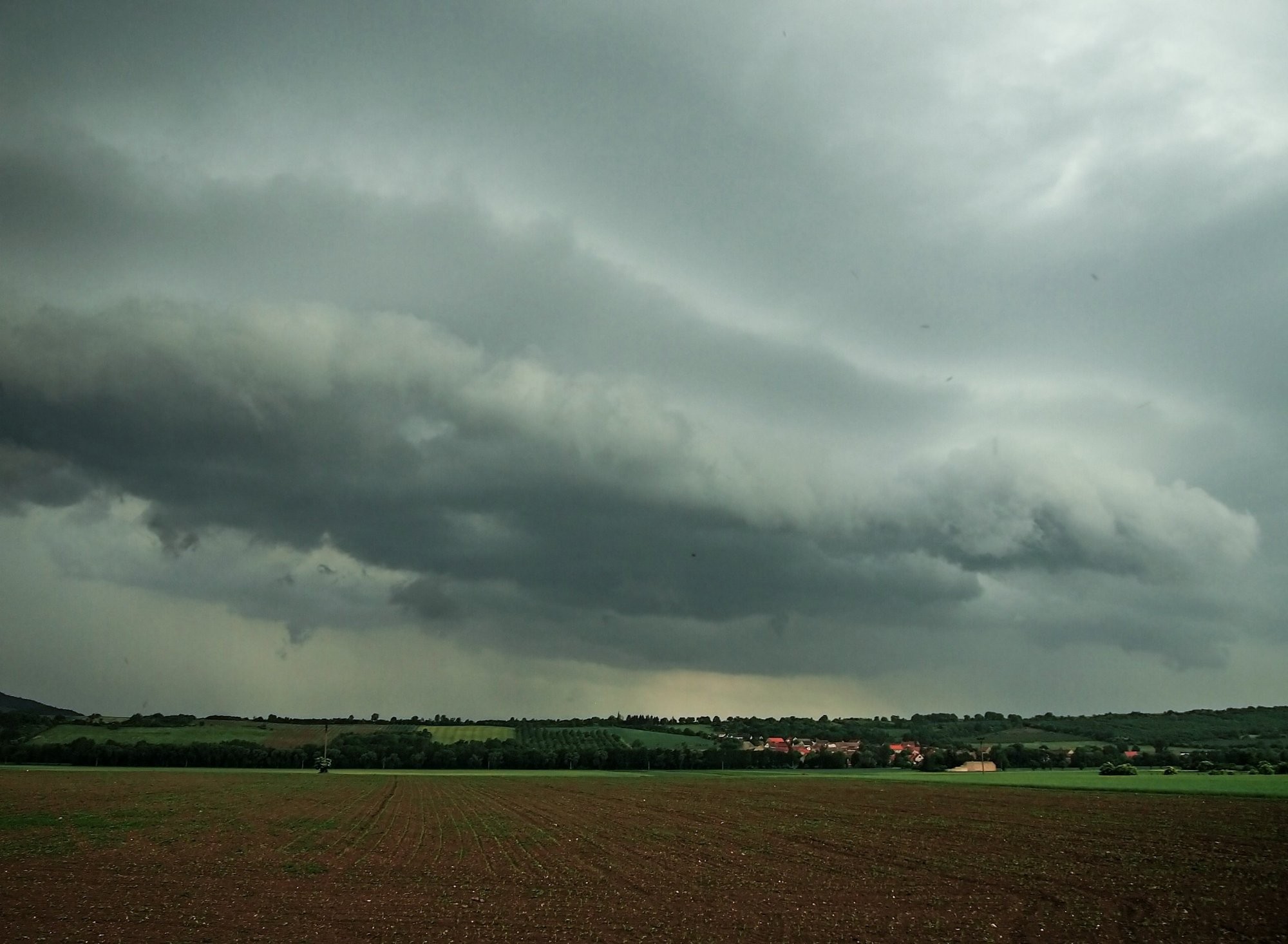 Unicela nad polem