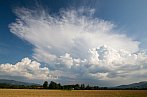 Cumulonimbus capillatus