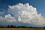 Cumulonimbus capillatus