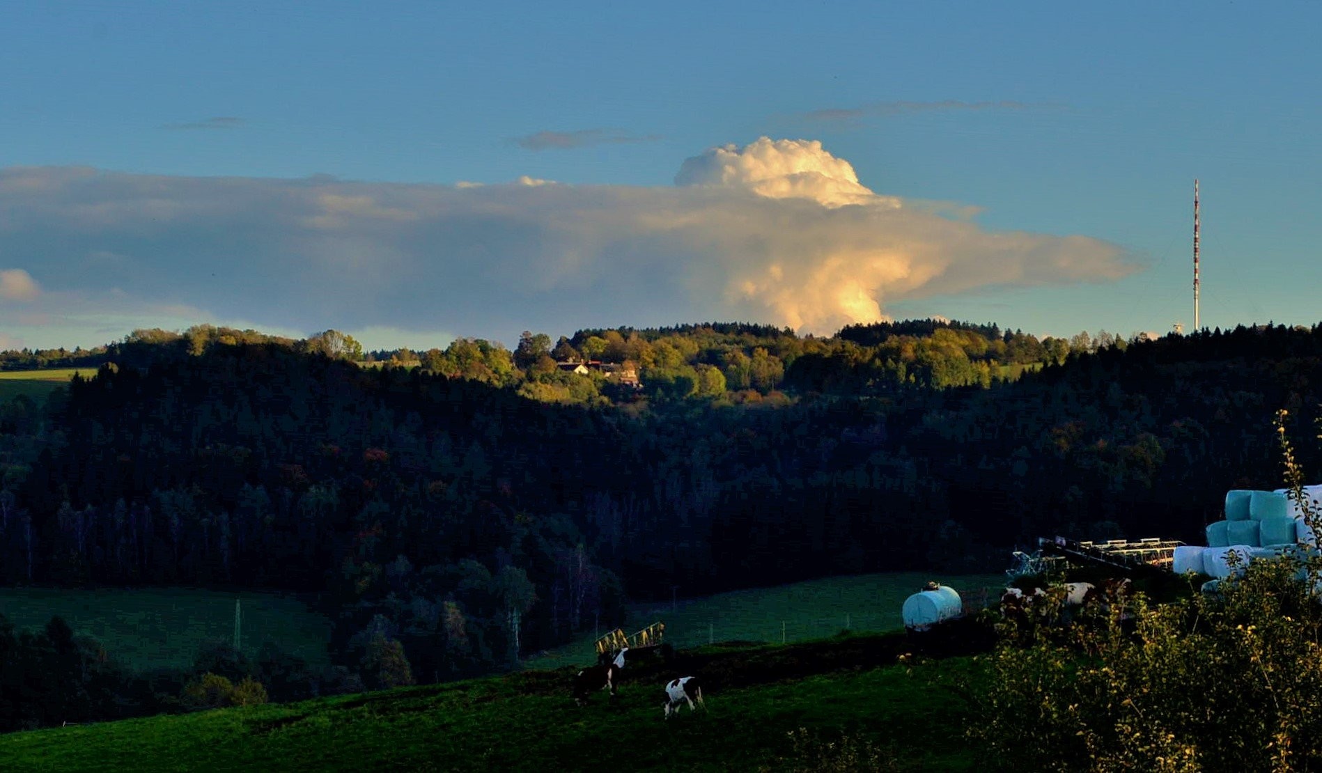 Cumulus