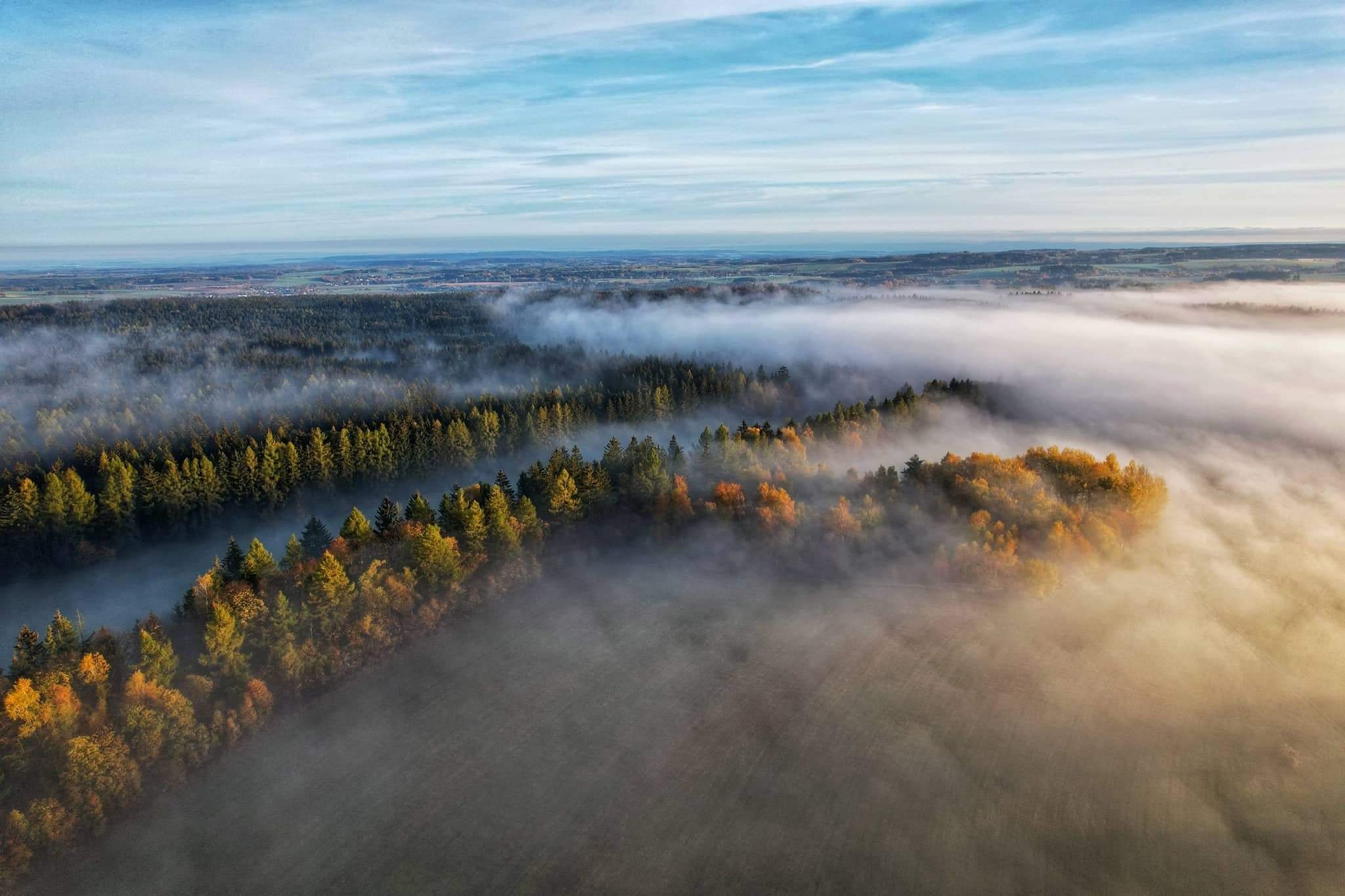 Ranni mlha Svratka/Svratouch
