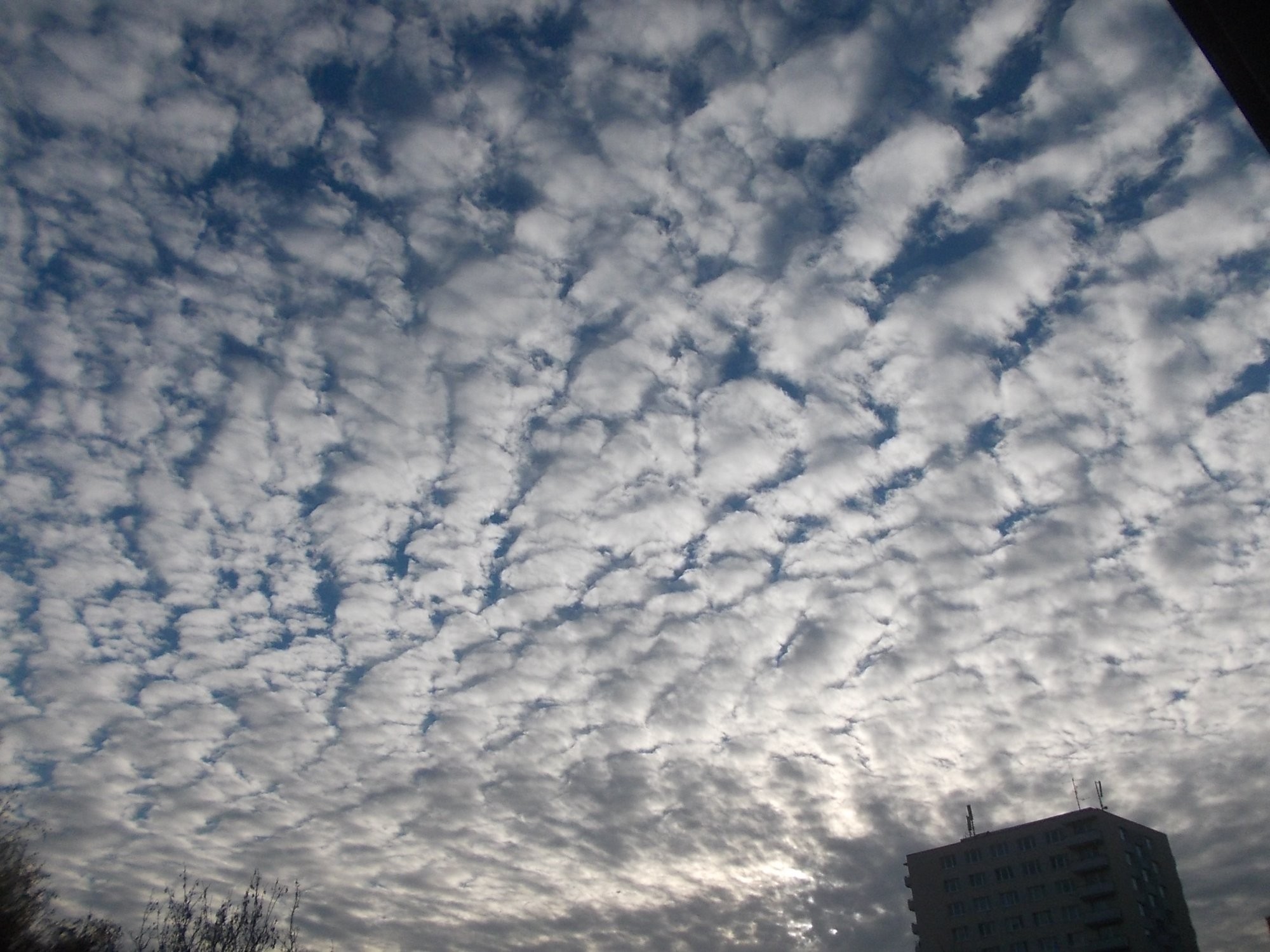 Altocumulus