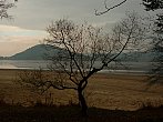 Vypuštěné Máchovo jezero