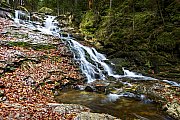Rieslochfälle