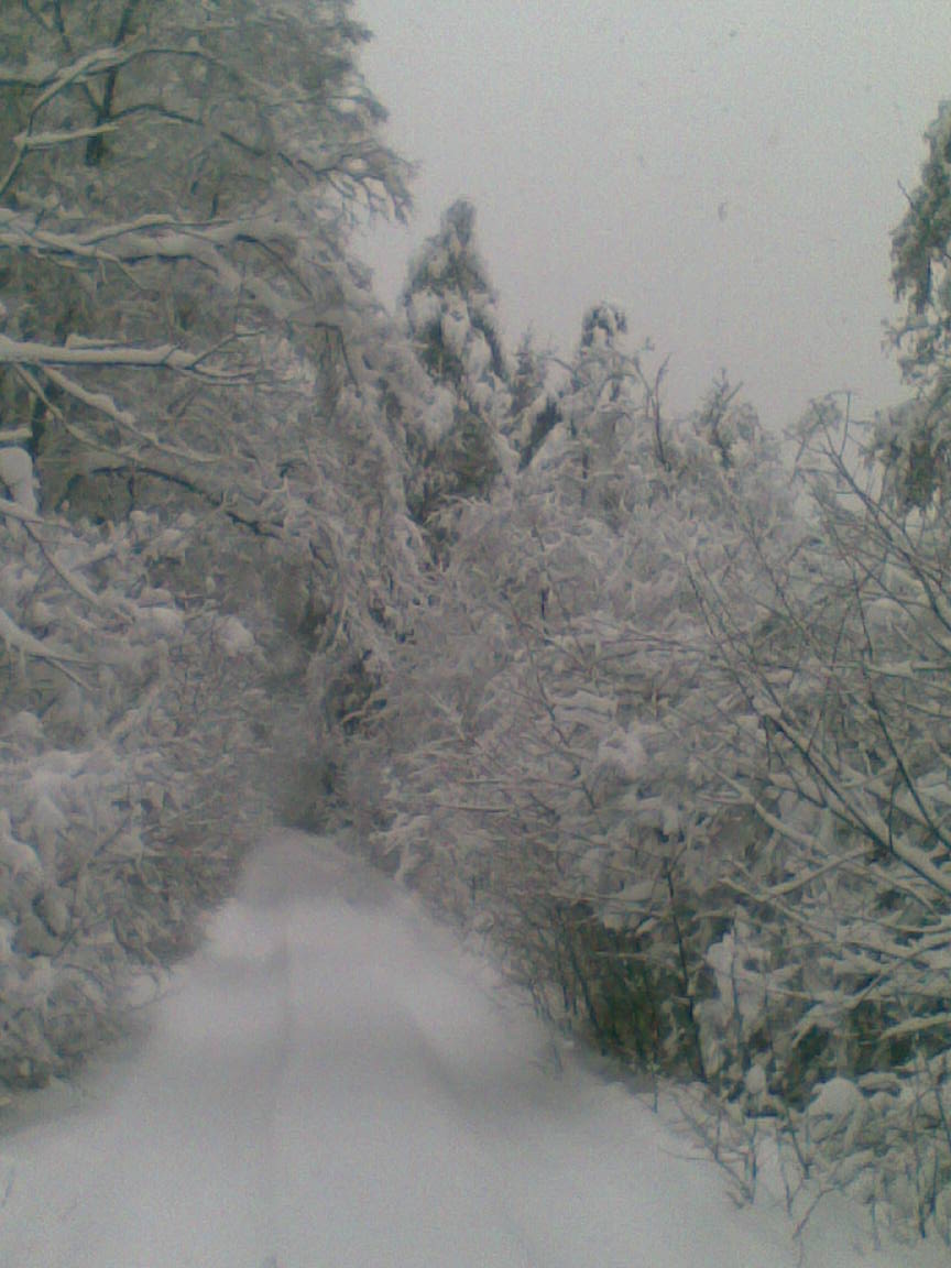 Pardubice