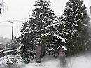 Stráž nad Nisou