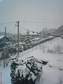 Bílovec