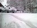 Pulečný