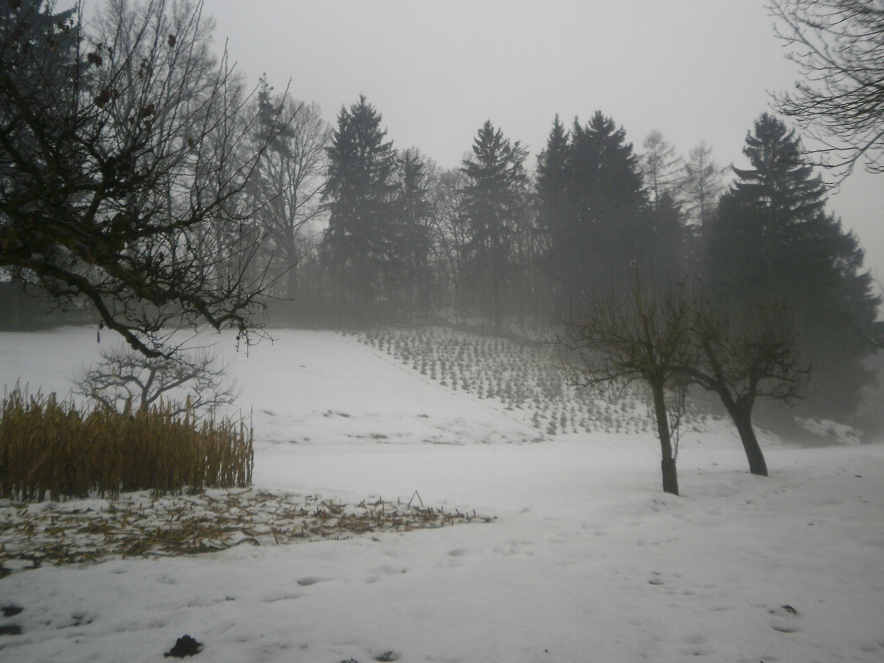 Úročnice