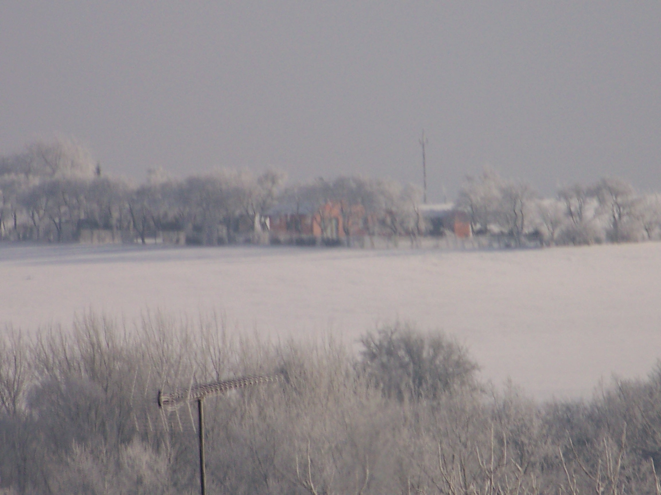 Divišov