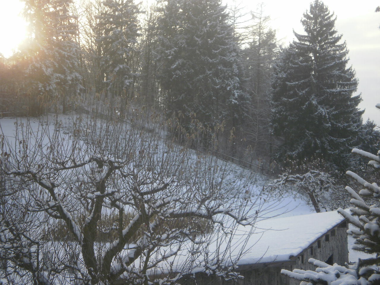 Úročnice