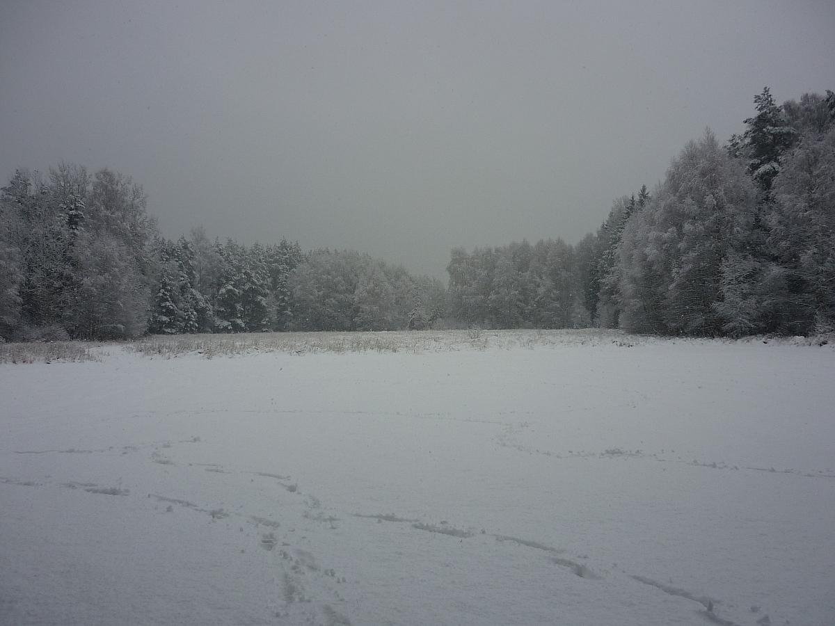 Borkovice