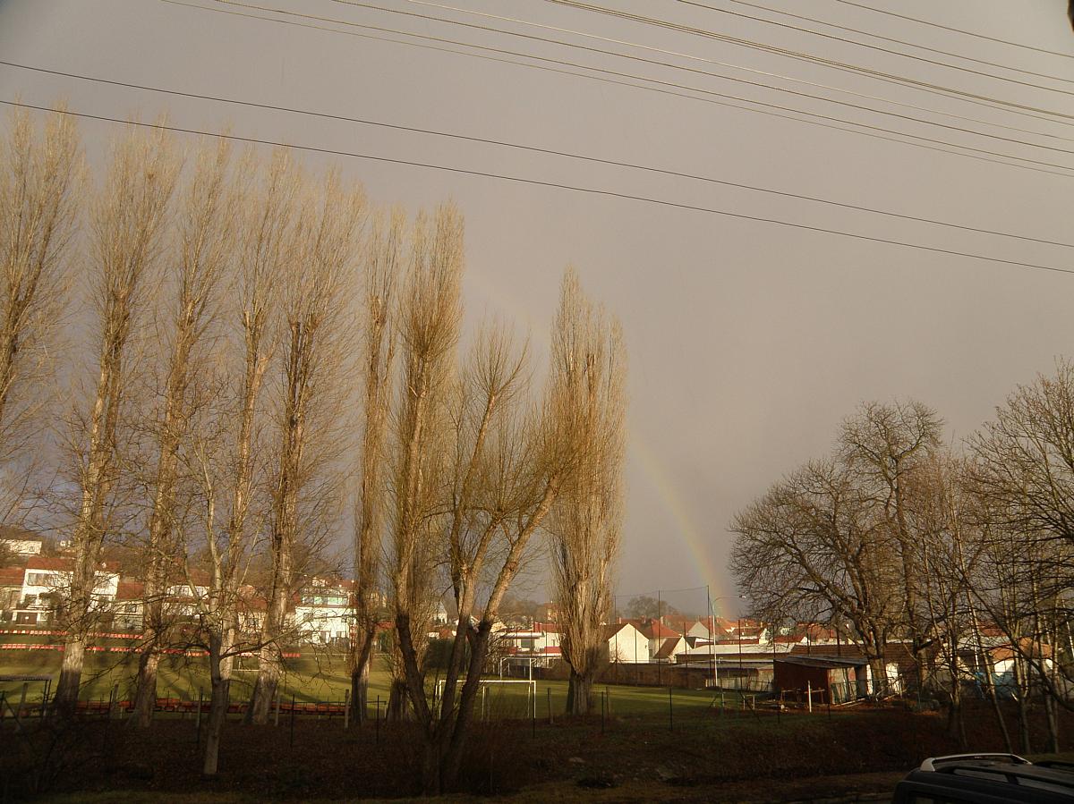 Brno Bosonohy