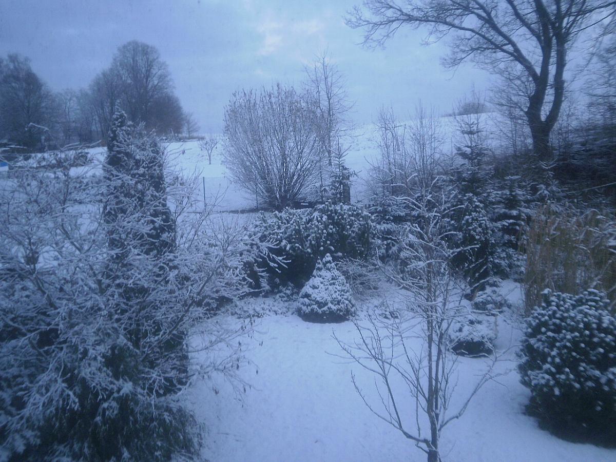 Úročnice