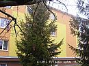 Slavičín, sídliště Vlára