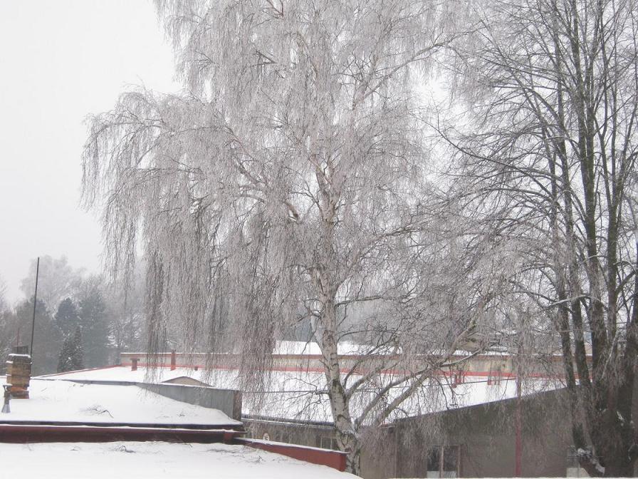 Polička