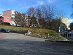 Borovina