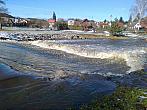 Borovina