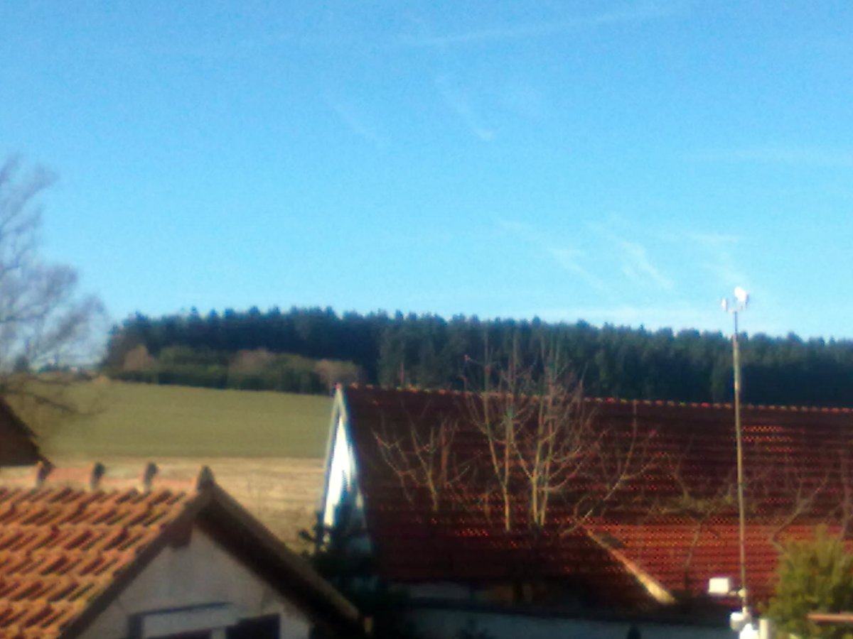Předín