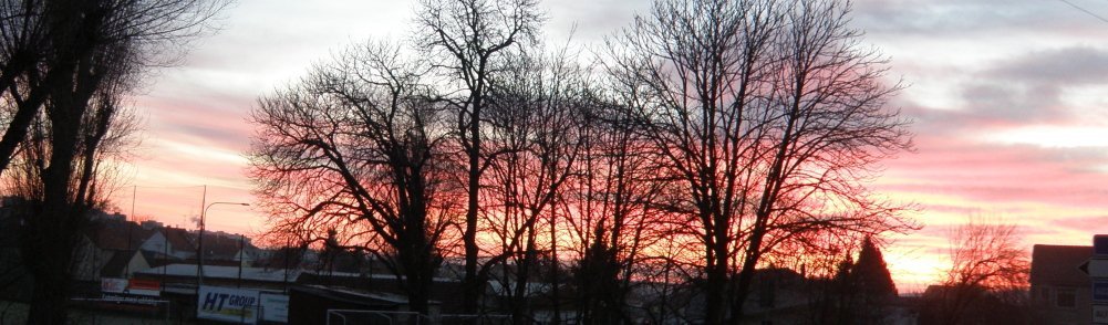 Brno Bosonohy
