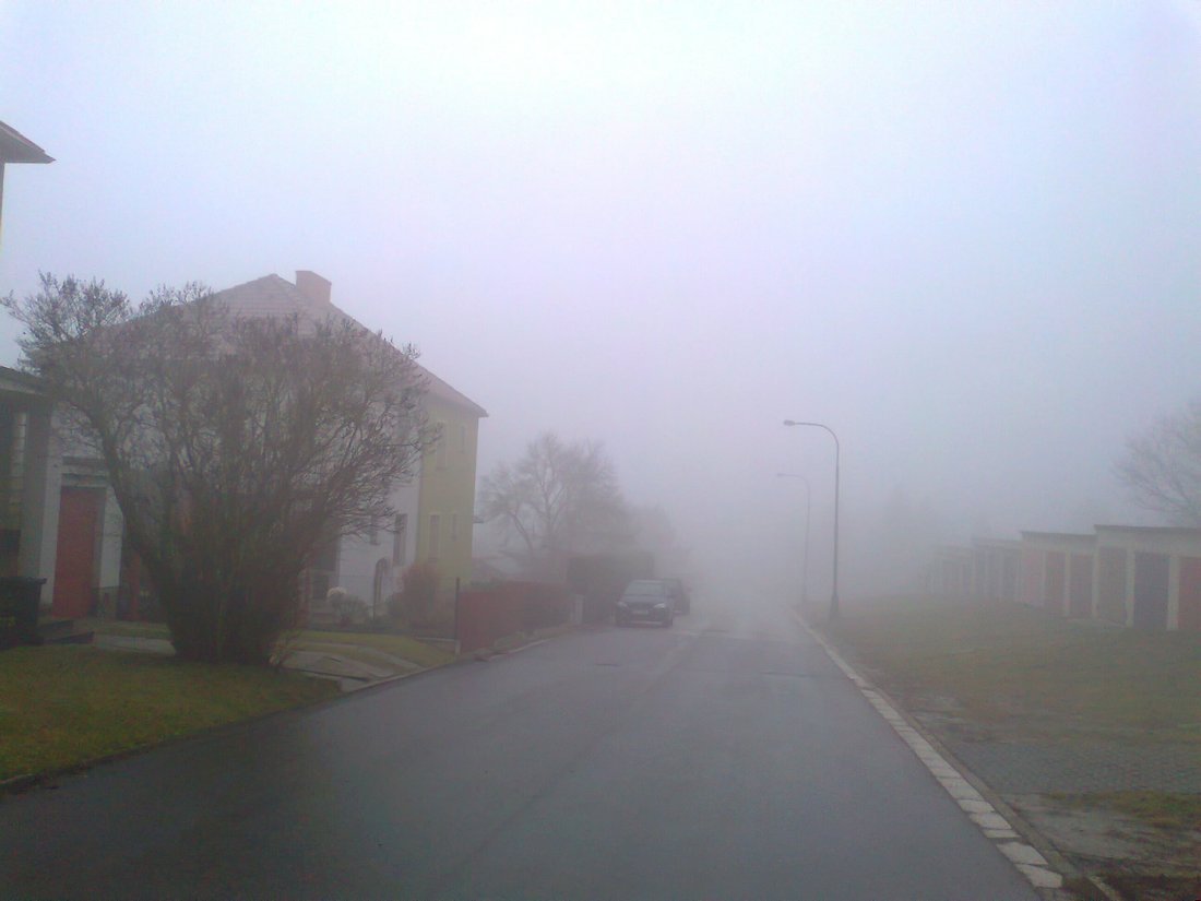 Borovina
