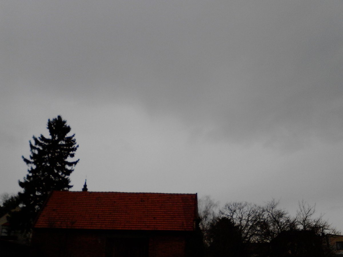 Kvasice