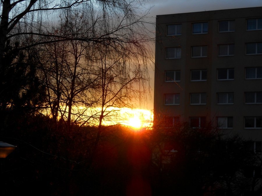 Borovina