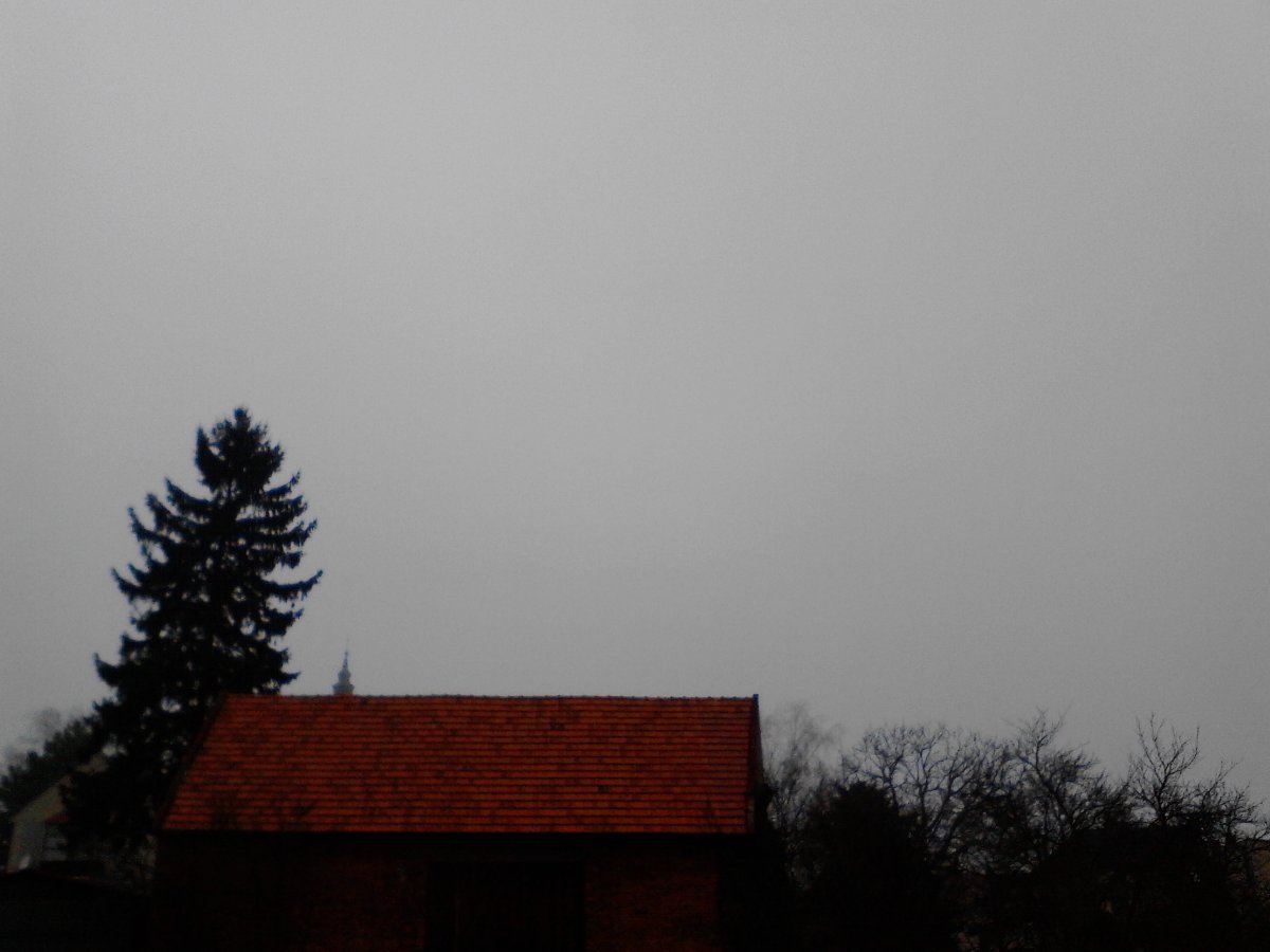 Kvasice