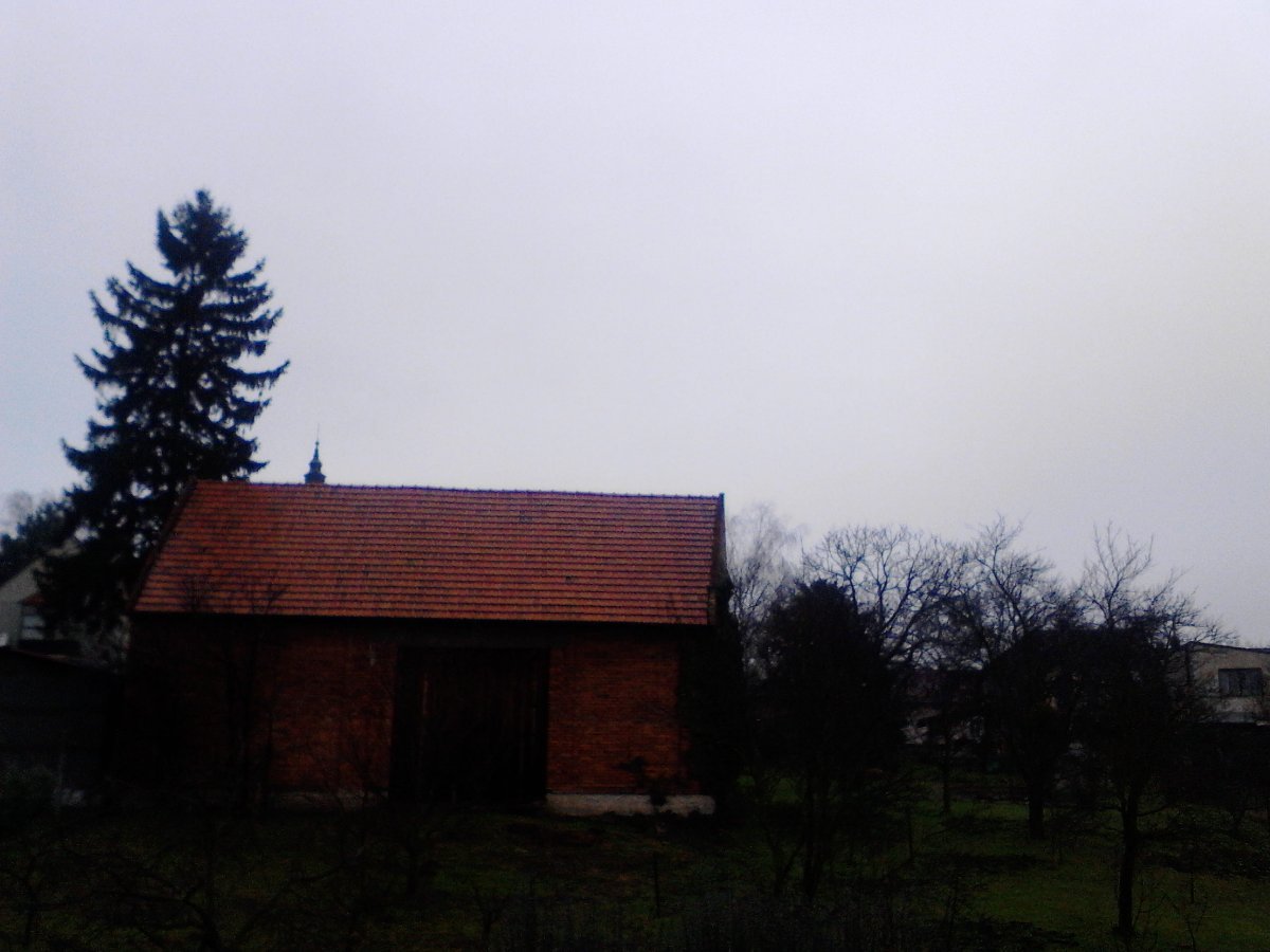 Kvasice