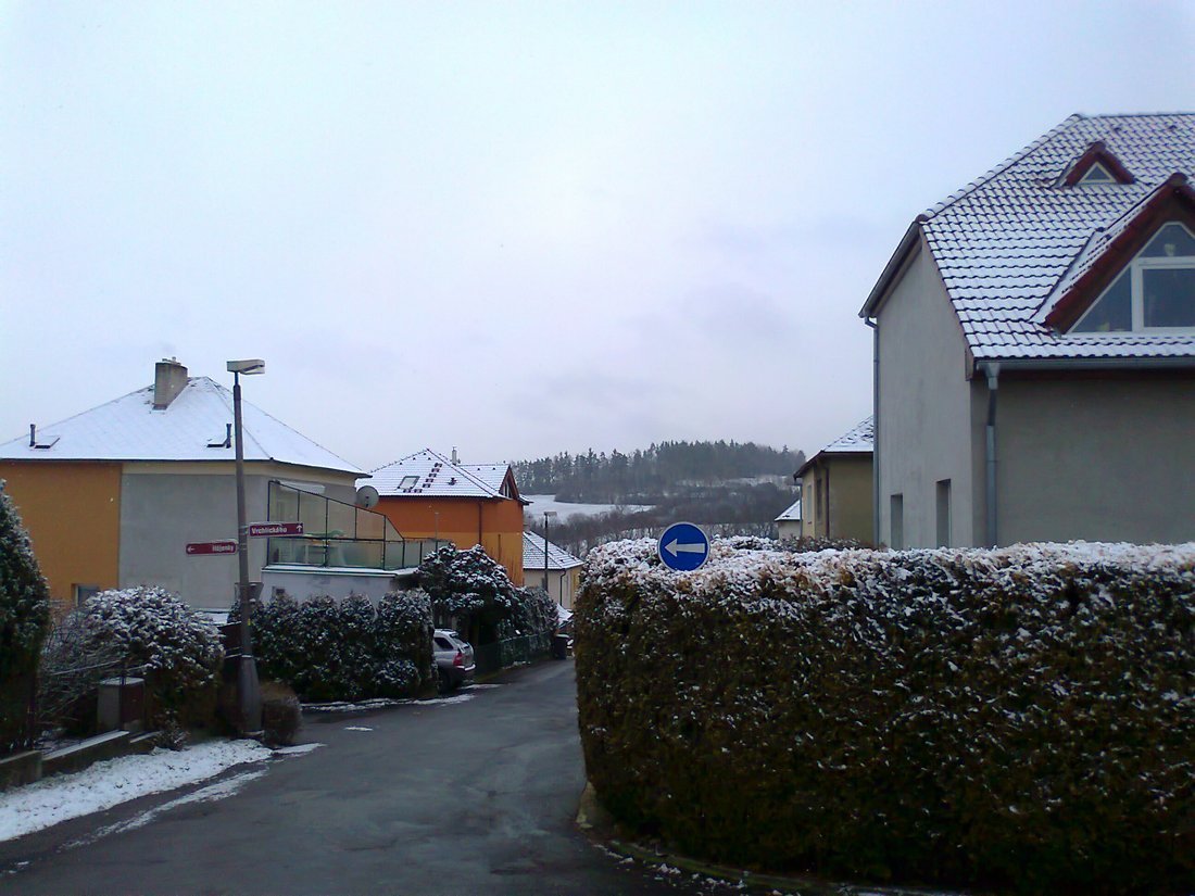 Borovina