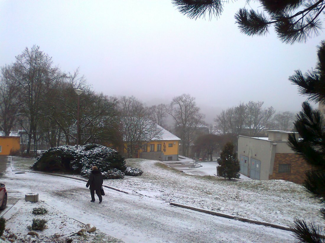 Borovina