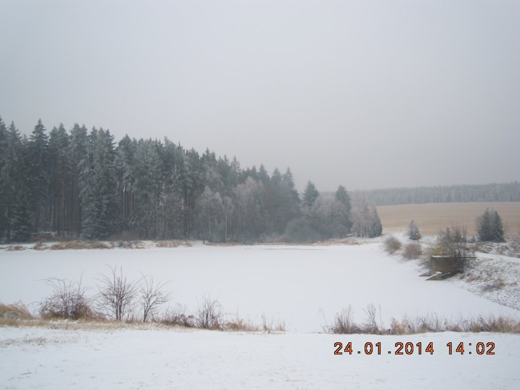 Vítkov