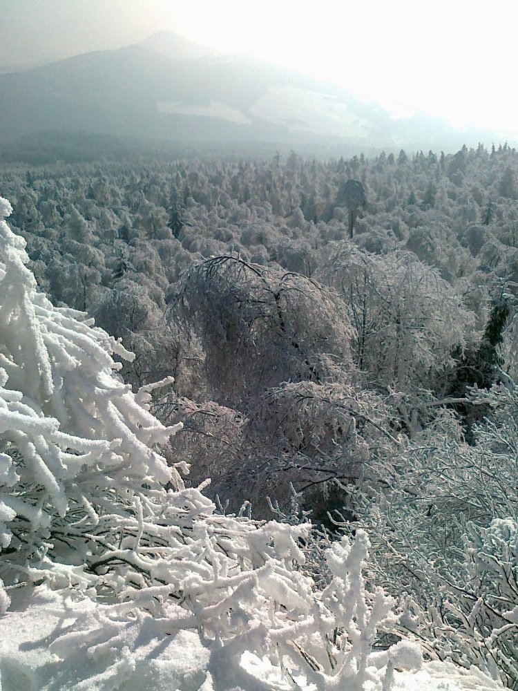 Sněžník