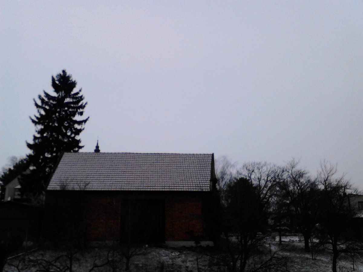Kvasice