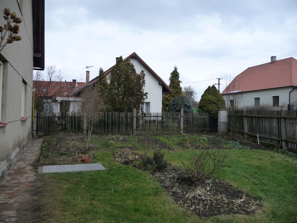 Třibřichy