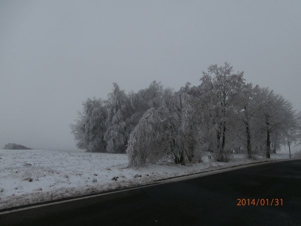 Toužim