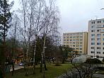Borovina