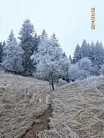 Toužim