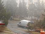 Borovina