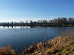 Třibřichy