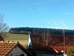 Předín