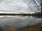 Třibřichy