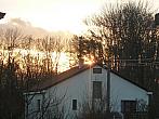 Třibřichy