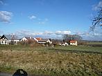 Třibřichy